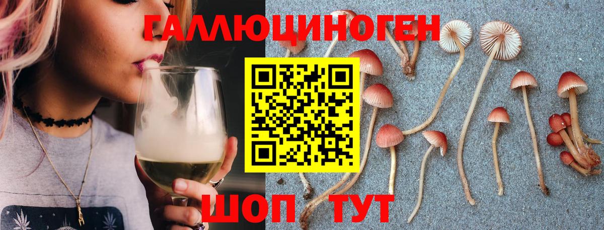 Галлюциногенные грибы мухоморы Сегежа