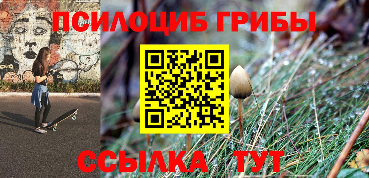 Сегежа  Псилоцибиновые грибы Psilocybe  Вход с VPN  Псилоцибиновые грибы Cubensis 
